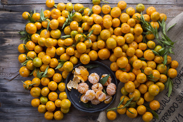 Similar image 12351745