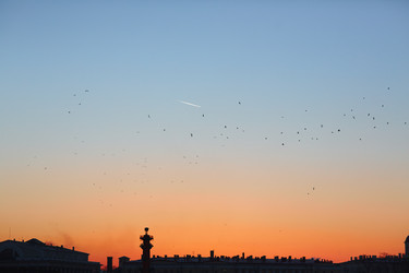 Similar image 12345338