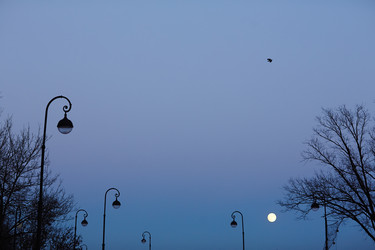 Similar image 12345342