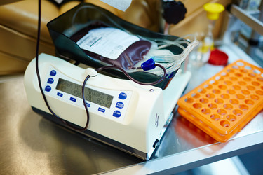 Similar image 12345102