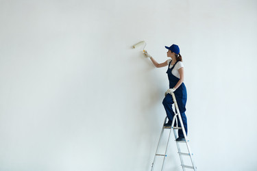 Similar image 12345264