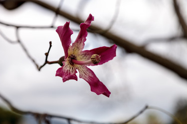 Similar image 12351685