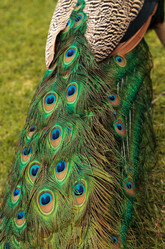 Similar image 12351686