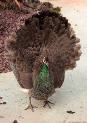 Similar image 12351687