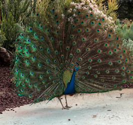 Similar image 12350385