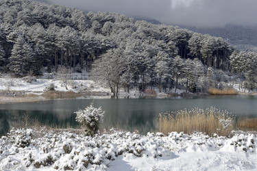 Similar image 12222929