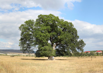 Similar image 12224449