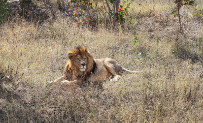 Similar image 12224463