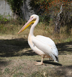 Similar image 12224464