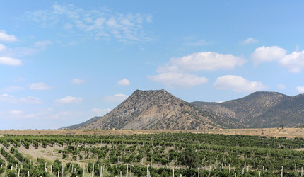 Similar image 12224465