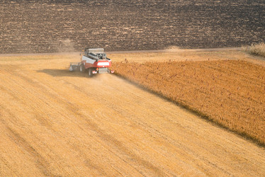 Similar image 12225023