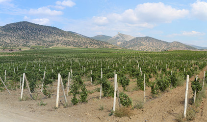 Similar image 12223960