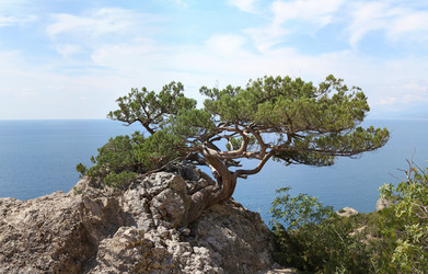 Similar image 12224018