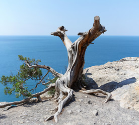 Similar image 12226165