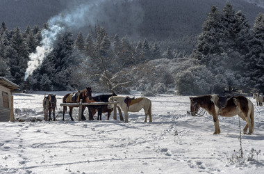 Similar image 12222860