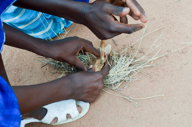 Similar image 12347157