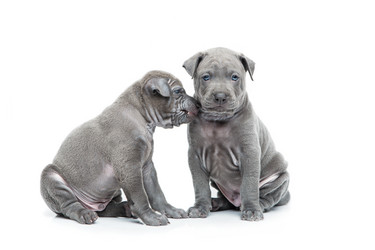 Similar image 12254221