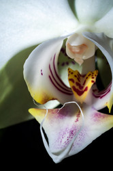 Similar image 12225059