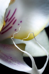 Similar image 12225060