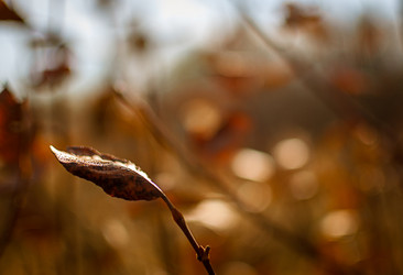 Similar image 12225177