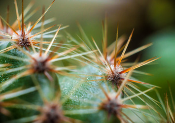 Similar image 12225095