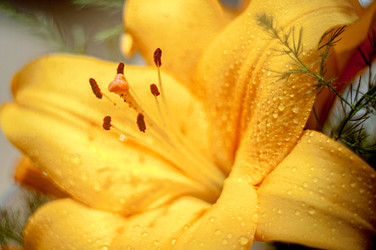 Similar image 12225156