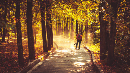 Similar image 12225163