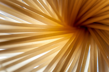 Similar image 12225193