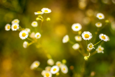 Similar image 12225215