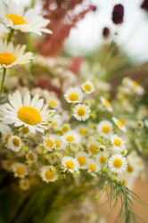 Similar image 12225069