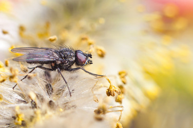 Similar image 12225070