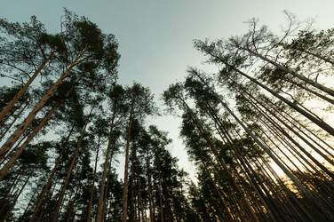 Similar image 12225076