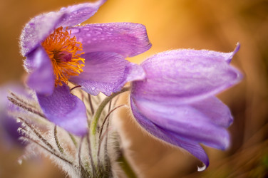 Similar image 12225077