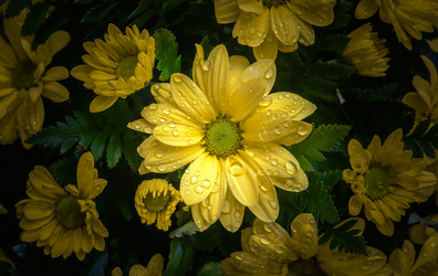 Similar image 12225079