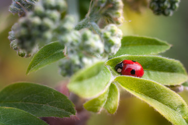 Similar image 12225081