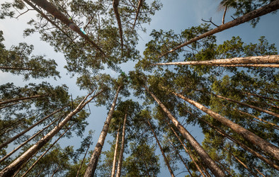 Similar image 12225082