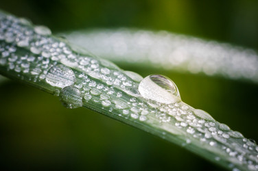 Similar image 12225083