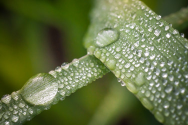 Similar image 12225084