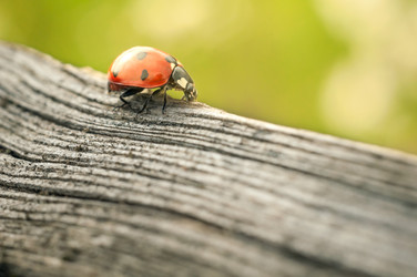 Similar image 12225085