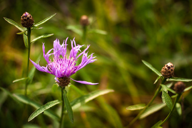 Similar image 12225104