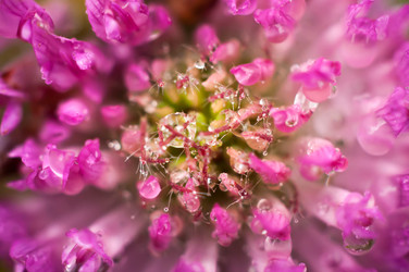 Similar image 12225106