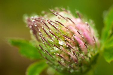 Similar image 12225107