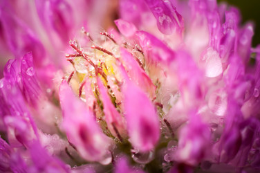 Similar image 12225108