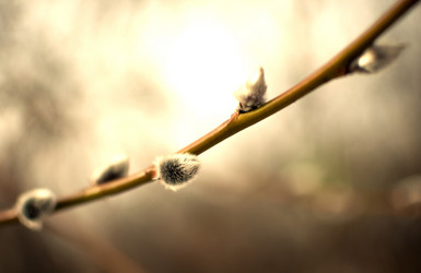 Similar image 12225121