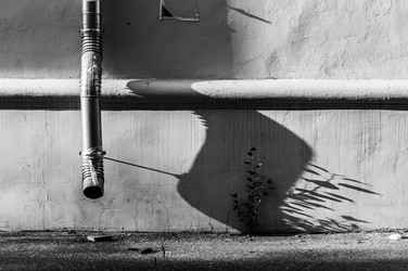 Similar image 12225123