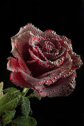 Similar image 12225154