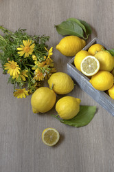 Similar image 12222900