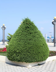 Similar image 12224459