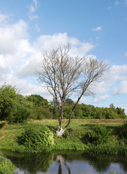 Similar image 12226176