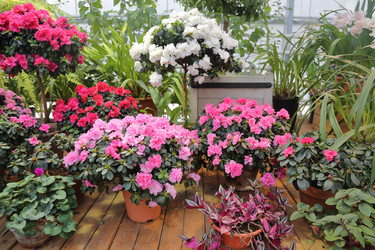 Similar image 12348800